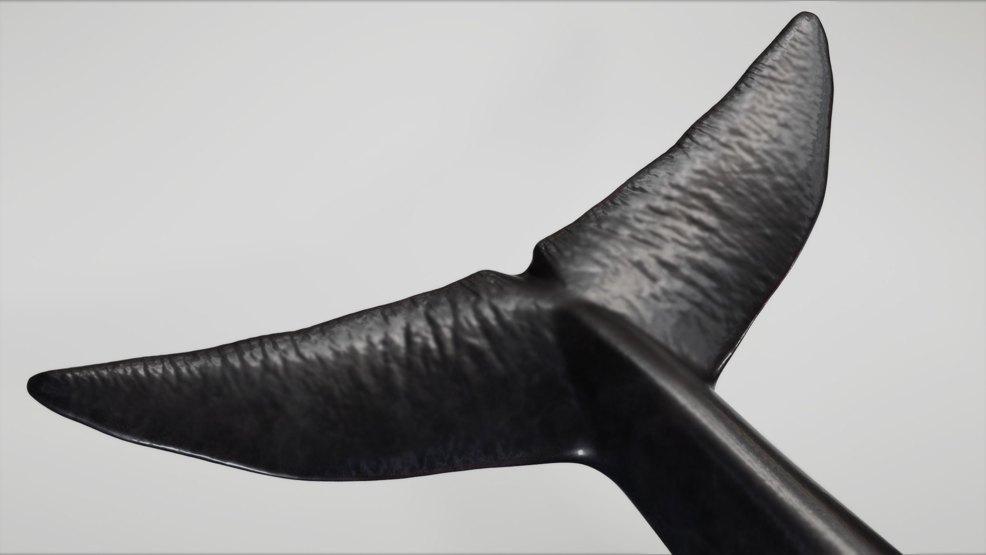 3D 4K False Killer Whale model https://p.turbosquid.com/ts-thumb/bz/5o9Ced/d5/s16copy/jpg/1756908588/1920x1080/fit_q87/82932cdc1405b2cd121e0ed5f987e400e39734dc/s16copy.jpg