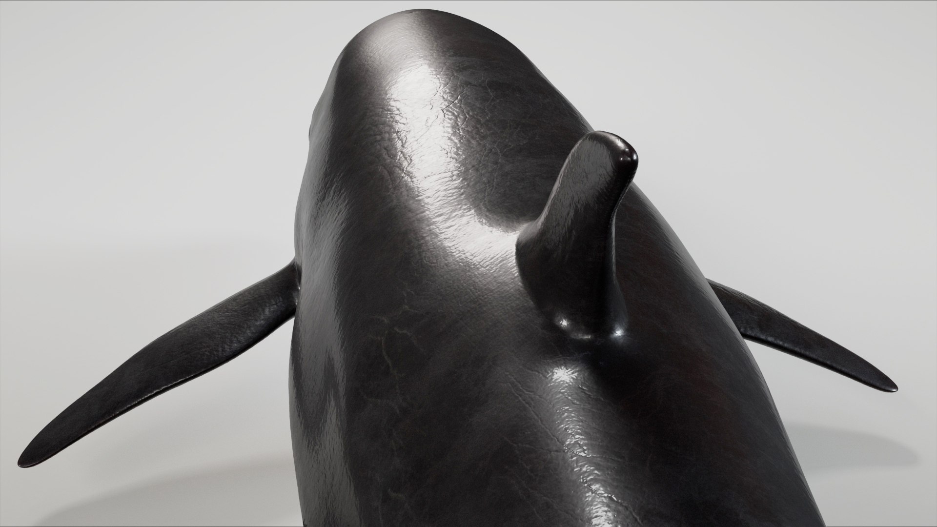 3D 4K False Killer Whale model https://p.turbosquid.com/ts-thumb/bz/5o9Ced/uu/s18/jpg/1756908590/1920x1080/fit_q87/86ee71401241a9dfc56607d6fb5f7dd5e776cd89/s18.jpg