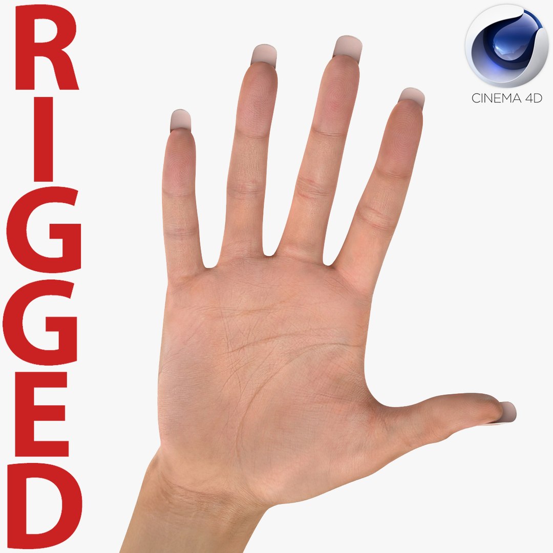 Female Hand 2 Rigged for Cinema 4D 3D model — Characters & People