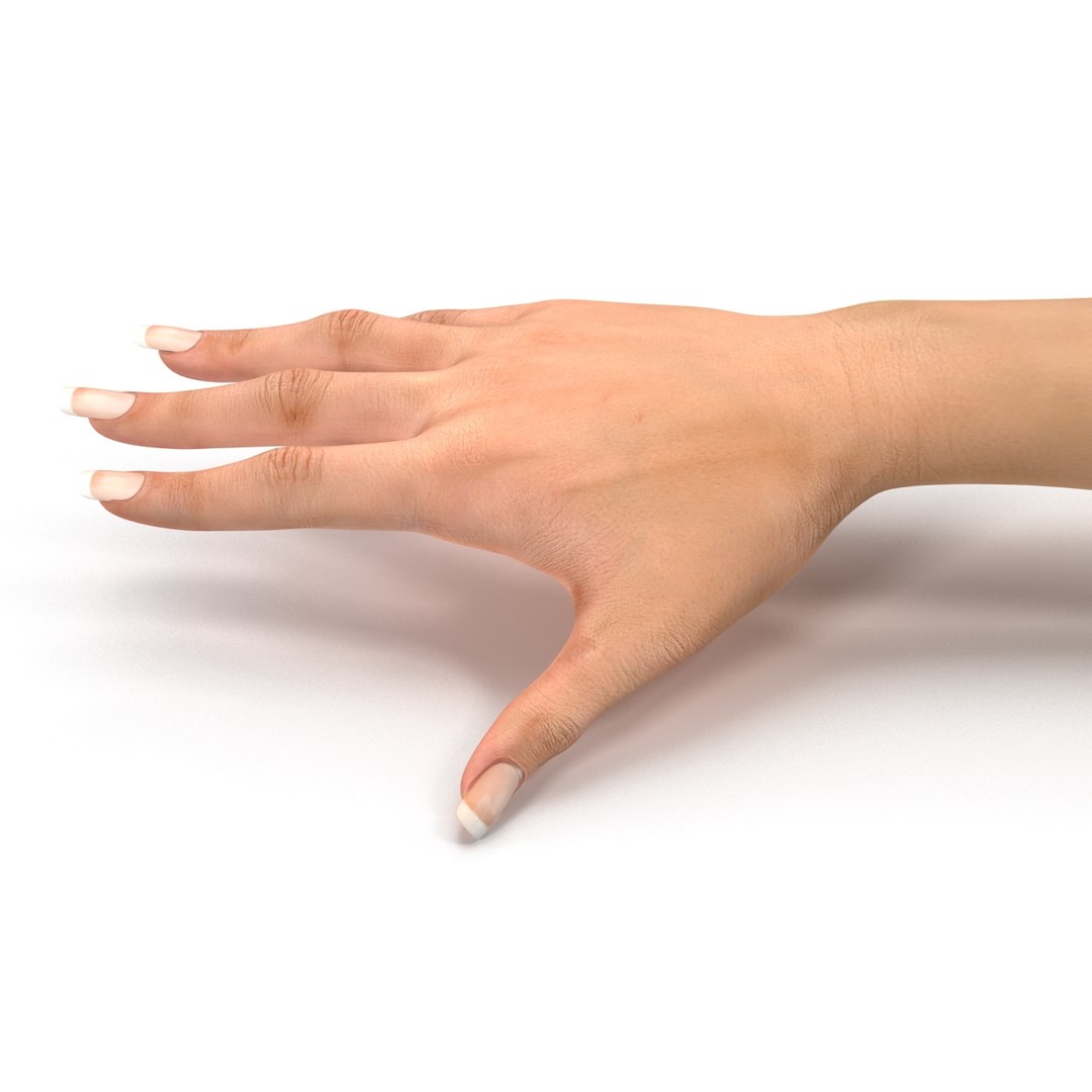 female hand 2 rigged c4d https://p.turbosquid.com/ts-thumb/bz/8Khx0m/Fk1gLBbd/femalehandriggedcinemac4d3dmodel23/jpg/1485956284/1920x1080/fit_q87/593c187a8c3a0b4a99dbcfa45233731f23887419/femalehandriggedcinemac4d3dmodel23.jpg