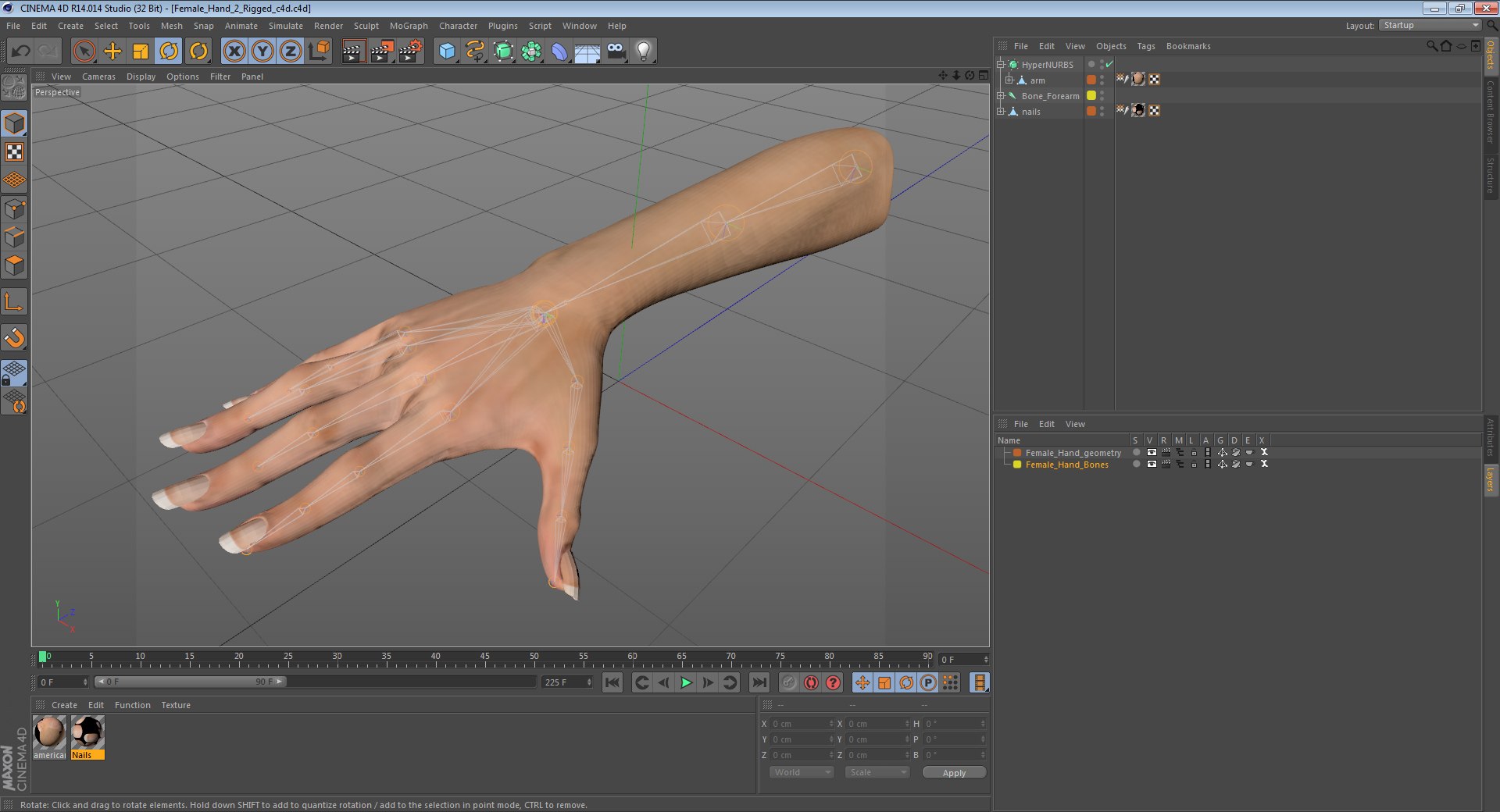 female hand 2 rigged c4d https://p.turbosquid.com/ts-thumb/bz/8Khx0m/MggftGOu/femalehandriggedcinemac4d3dmodel40/jpg/1485956284/1920x1080/fit_q87/b12acc66b99dc23bc6087935464d21f49c2b8356/femalehandriggedcinemac4d3dmodel40.jpg