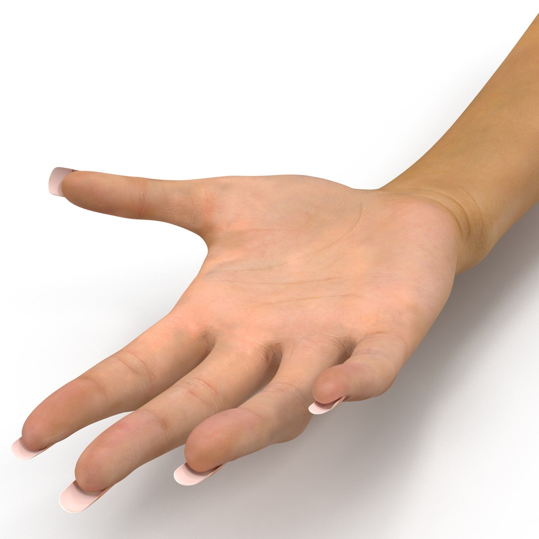 female hand 2 rigged c4d https://p.turbosquid.com/ts-thumb/bz/8Khx0m/h8r0LQWJ/femalehandriggedcinemac4d3dmodel26/jpg/1485956284/1920x1080/fit_q87/b6810b63f4e97e3716657e616e0fc6d16b41cd1f/femalehandriggedcinemac4d3dmodel26.jpg