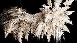 Hanging Bouquet Of Dry Reeds For Decoration 260 3D