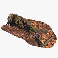 Realistic Forest Tree Stump 07