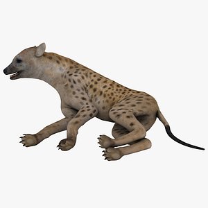 3d model hyena pose 4