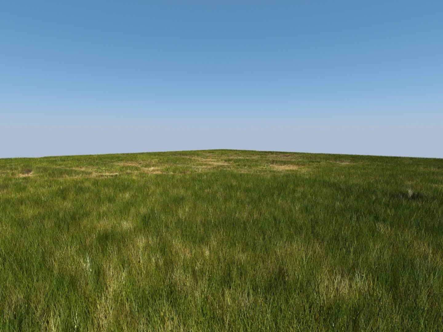 house grass 3d model