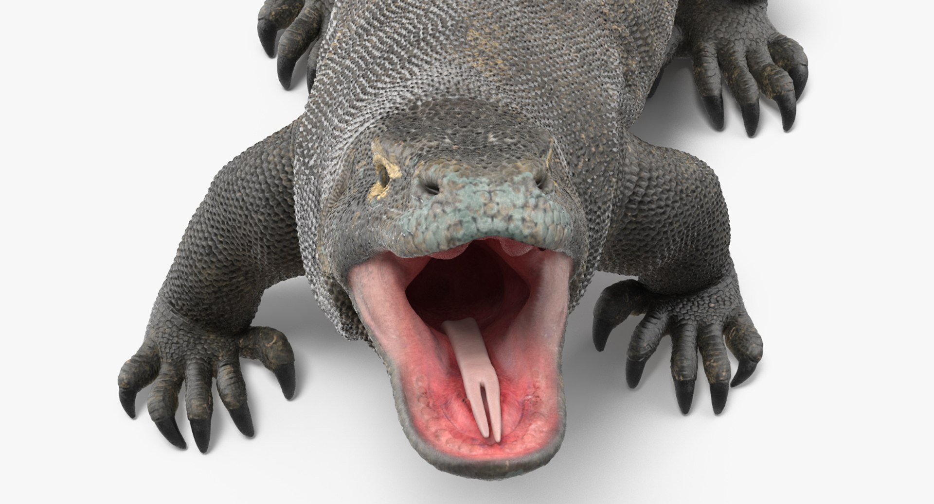 Rigged Reptiles Collection Model - TurboSquid 1971102