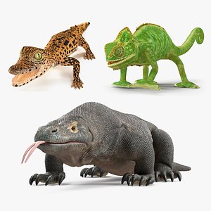 Rigged Reptiles Collection