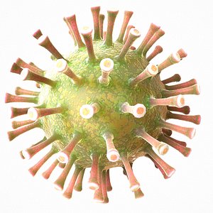 3D modeled coronavirus covid 19 model