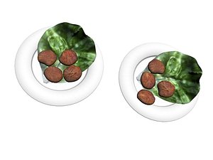 lettuce meat 3D model