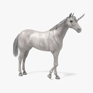 unicorn tail 3d model