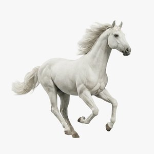 3D White Horse Rigged Animated