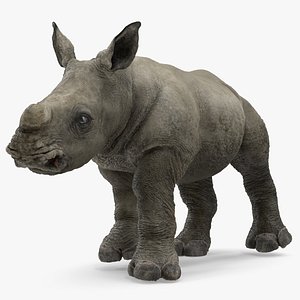 3D baby rhino fur rigged