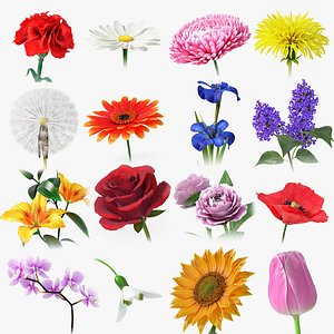 Flowers Collection model