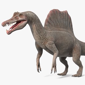 3D model Spinosaurus Basic Pose