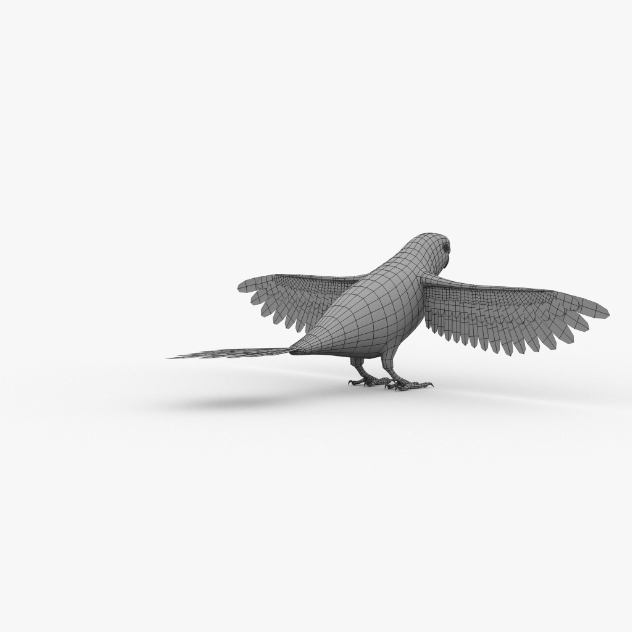 modelo 3d budgie basemesh - TurboSquid 2006866