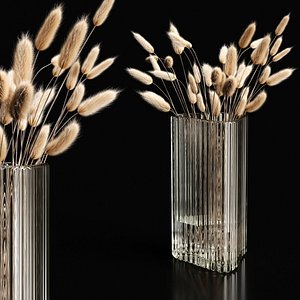 3D Lagurus in crystal