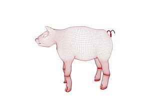 pig 3D model