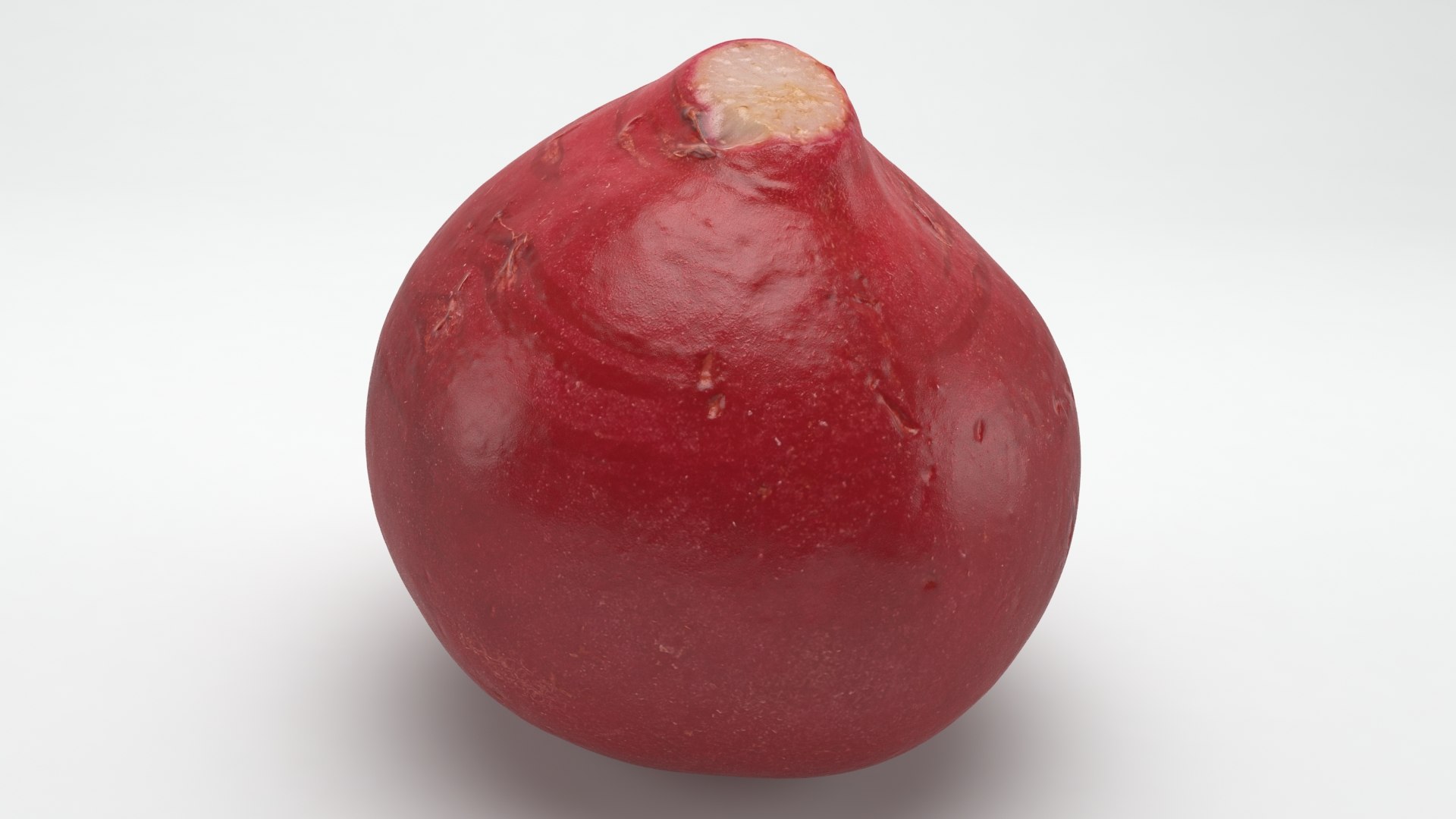 3D Baby Radish https://p.turbosquid.com/ts-thumb/c0/r24gIl/34/babyradish_a0027/jpg/1622814915/1920x1080/fit_q87/34db7042b613f6d851565d71794dab3f330434e1/babyradish_a0027.jpg