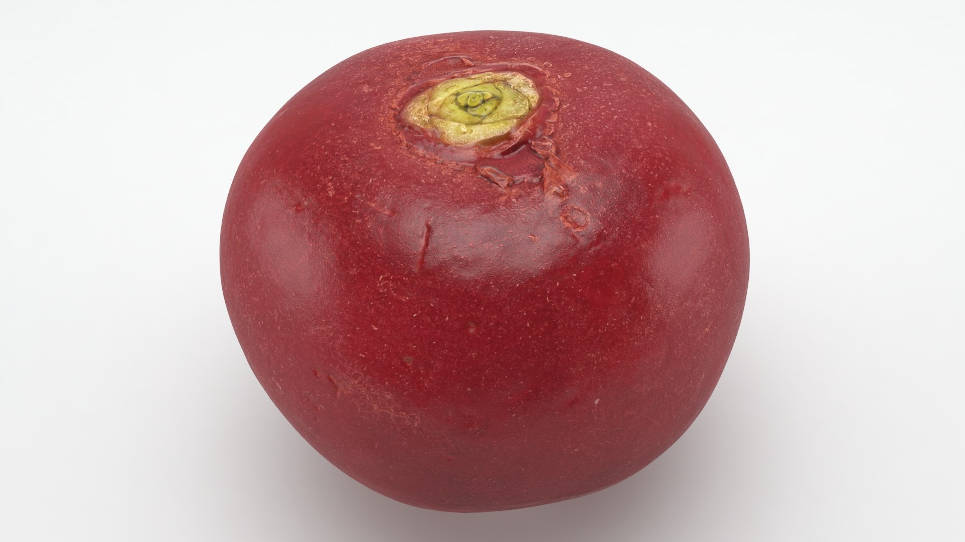 3D Baby Radish https://p.turbosquid.com/ts-thumb/c0/r24gIl/7P/babyradish_a0030/jpg/1622814915/1920x1080/fit_q87/969c3182036009f69e926258988a28d5ea055f2e/babyradish_a0030.jpg