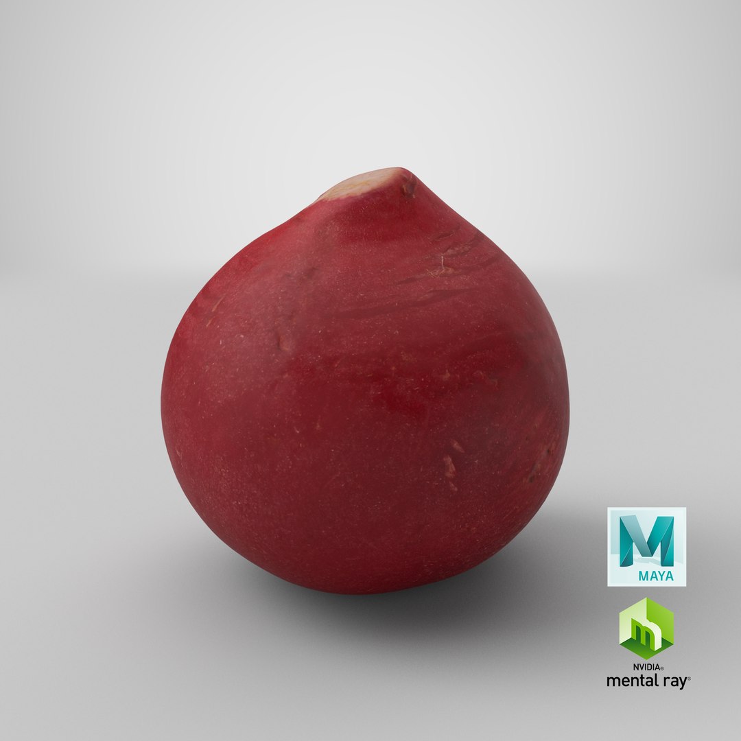 3D Baby Radish https://p.turbosquid.com/ts-thumb/c0/r24gIl/Fb/stemcell_maya_mental_ray_render/png/1623087883/1920x1080/fit_q87/4403f83aacfd5f970ce773c101f2ddd9351a842e/stemcell_maya_mental_ray_render.jpg