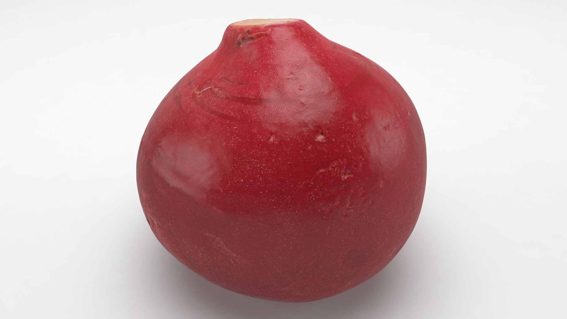 3D Baby Radish https://p.turbosquid.com/ts-thumb/c0/r24gIl/G0/babyradish_a0015/jpg/1622814910/1920x1080/fit_q87/d2b0fd80df064dc3726979bc009f92bb8245cd99/babyradish_a0015.jpg