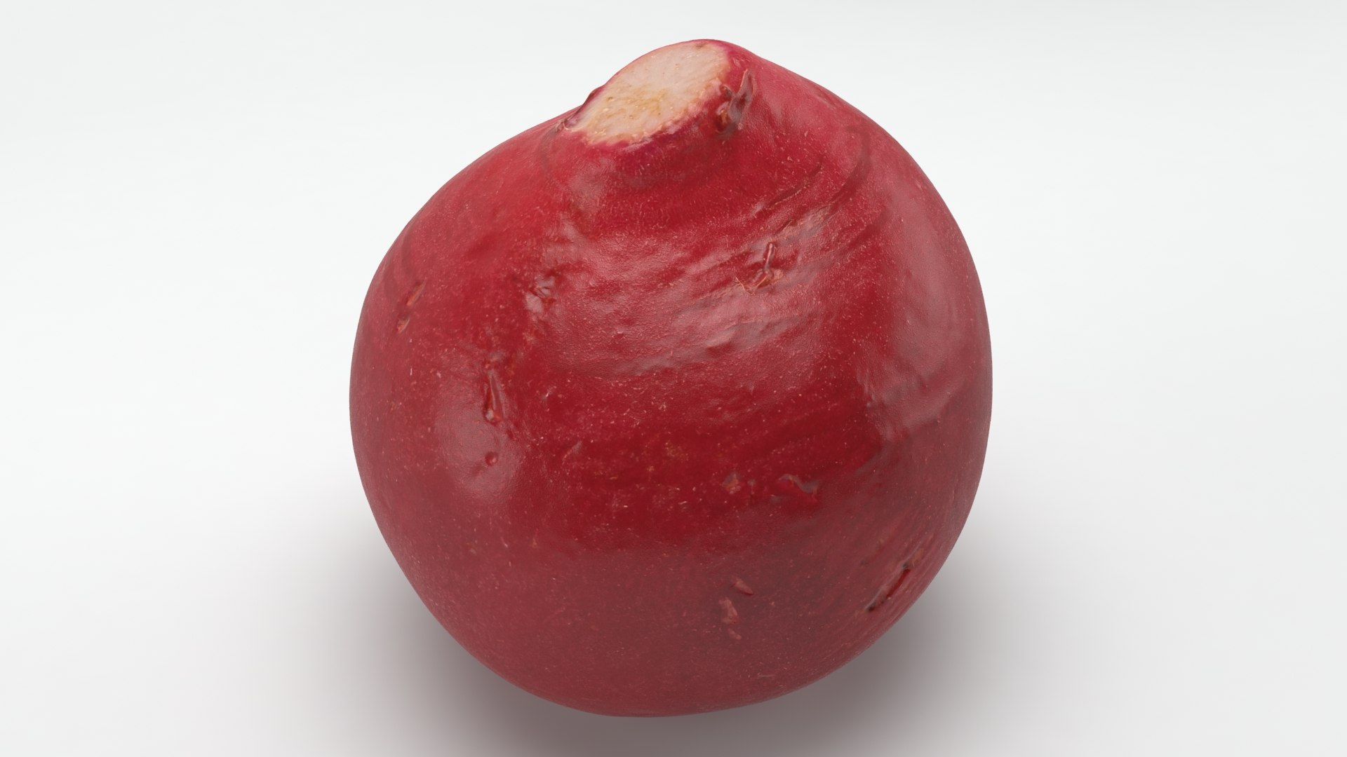 3D Baby Radish https://p.turbosquid.com/ts-thumb/c0/r24gIl/HD/babyradish_a0021/jpg/1622814913/1920x1080/fit_q87/bdbdfa837678fbca26363a434a1f45ffc5601e89/babyradish_a0021.jpg