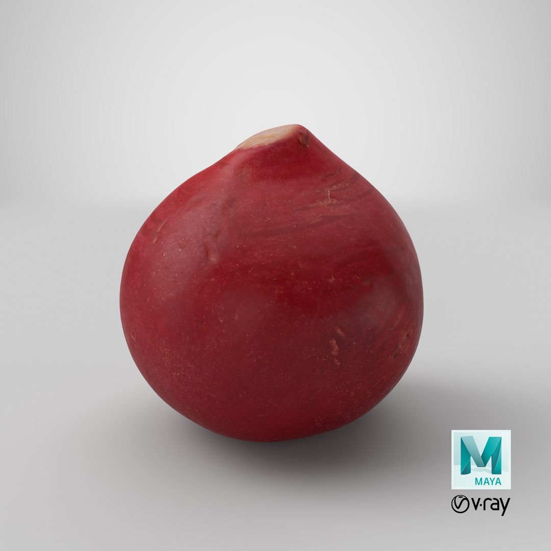 3D Baby Radish https://p.turbosquid.com/ts-thumb/c0/r24gIl/QF/stemcell_maya_vray_render/png/1623087884/1920x1080/fit_q87/0b719feb0de5b209ecd50e49faa371309bf4da68/stemcell_maya_vray_render.jpg