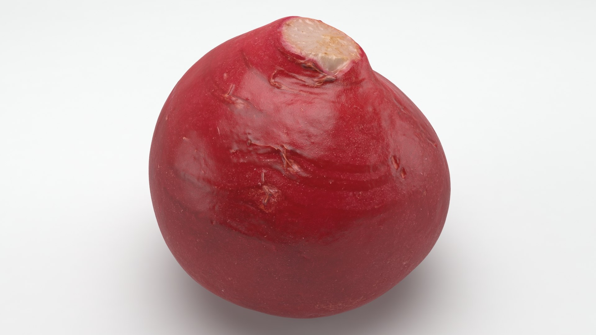 3D Baby Radish https://p.turbosquid.com/ts-thumb/c0/r24gIl/S9/babyradish_a0010/jpg/1622814905/1920x1080/fit_q87/10c4af182d662bc96c6333b3fbbb08b0ab9c4403/babyradish_a0010.jpg