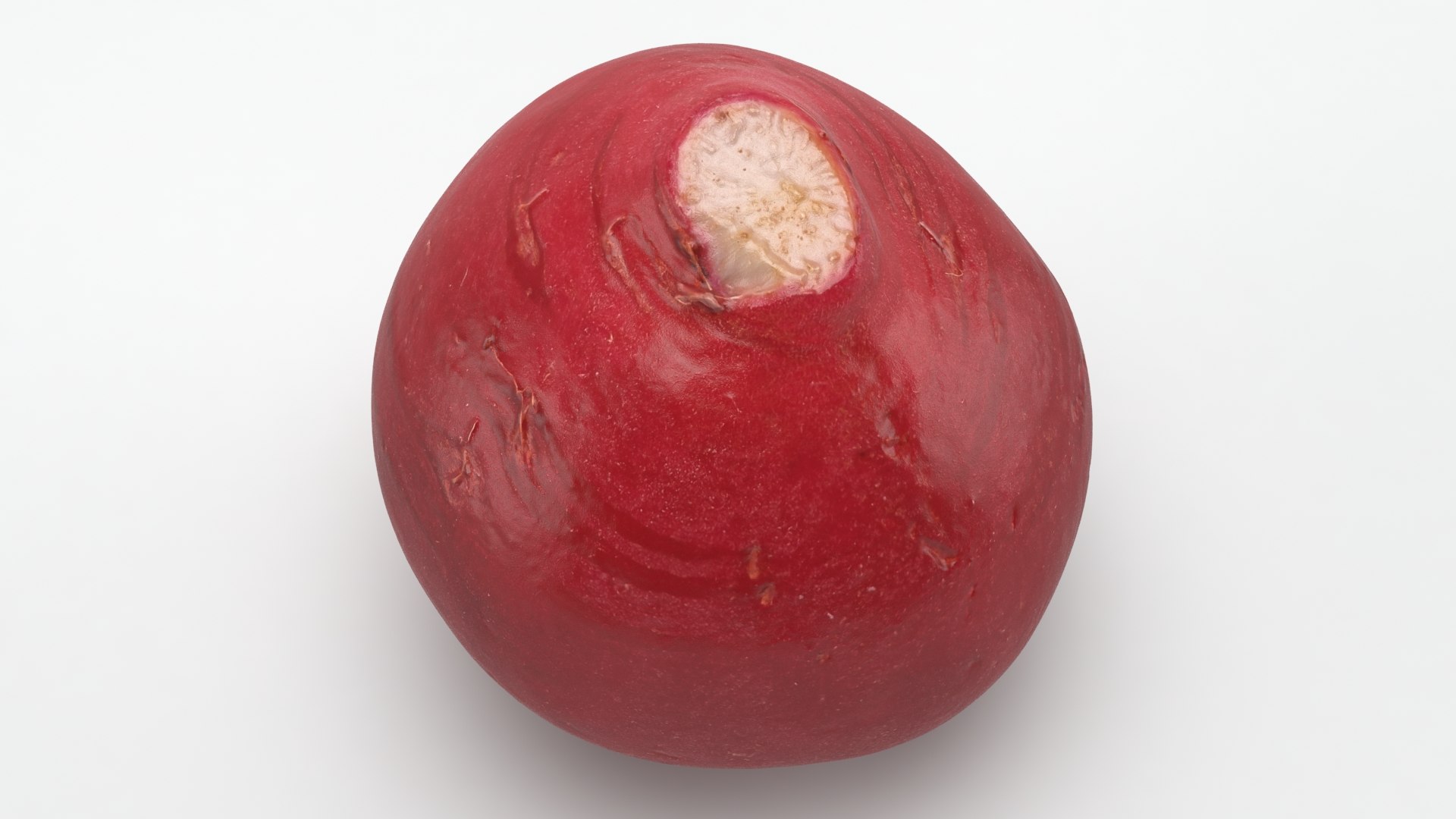 3D Baby Radish https://p.turbosquid.com/ts-thumb/c0/r24gIl/Yt/babyradish_a0004/jpg/1622814902/1920x1080/fit_q87/e97c5f5f150cf3e2020bf015bcccd9906b129032/babyradish_a0004.jpg