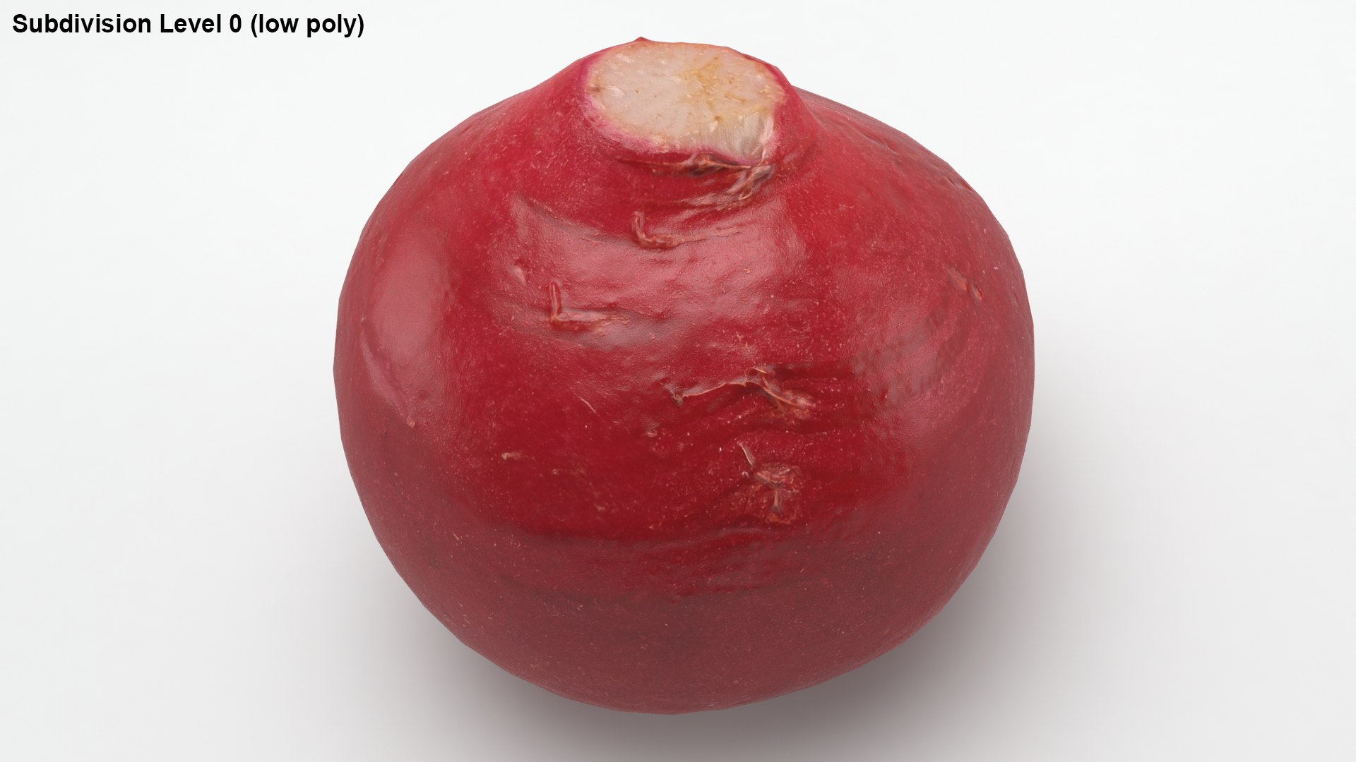 3D Baby Radish https://p.turbosquid.com/ts-thumb/c0/r24gIl/cZ/lemon_rr_38/jpg/1622814917/1920x1080/fit_q87/dbaa5ca2bb3037fac58c2d9934c6e7d5c860a2df/lemon_rr_38.jpg