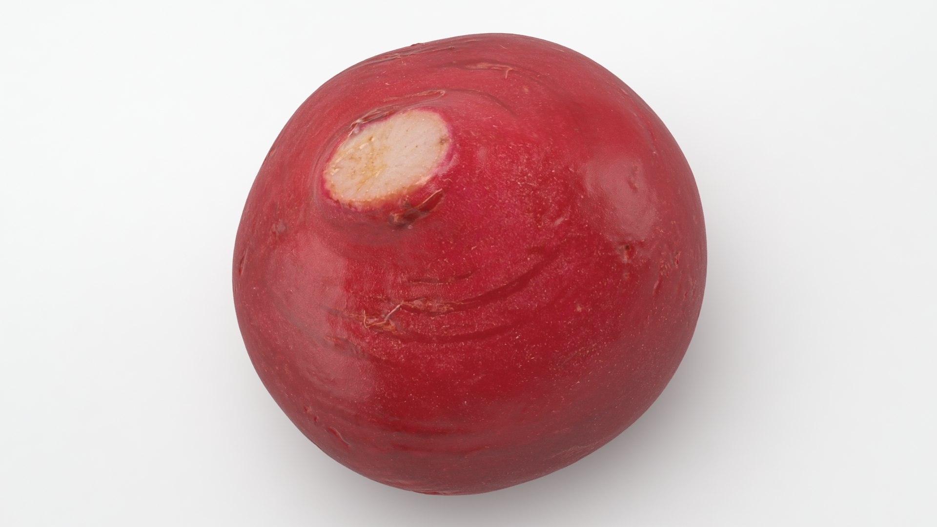 3D Baby Radish https://p.turbosquid.com/ts-thumb/c0/r24gIl/fF/babyradish_a0018/jpg/1622814916/1920x1080/fit_q87/76629a9f038acade7343c57d7ad047db6f4726f1/babyradish_a0018.jpg