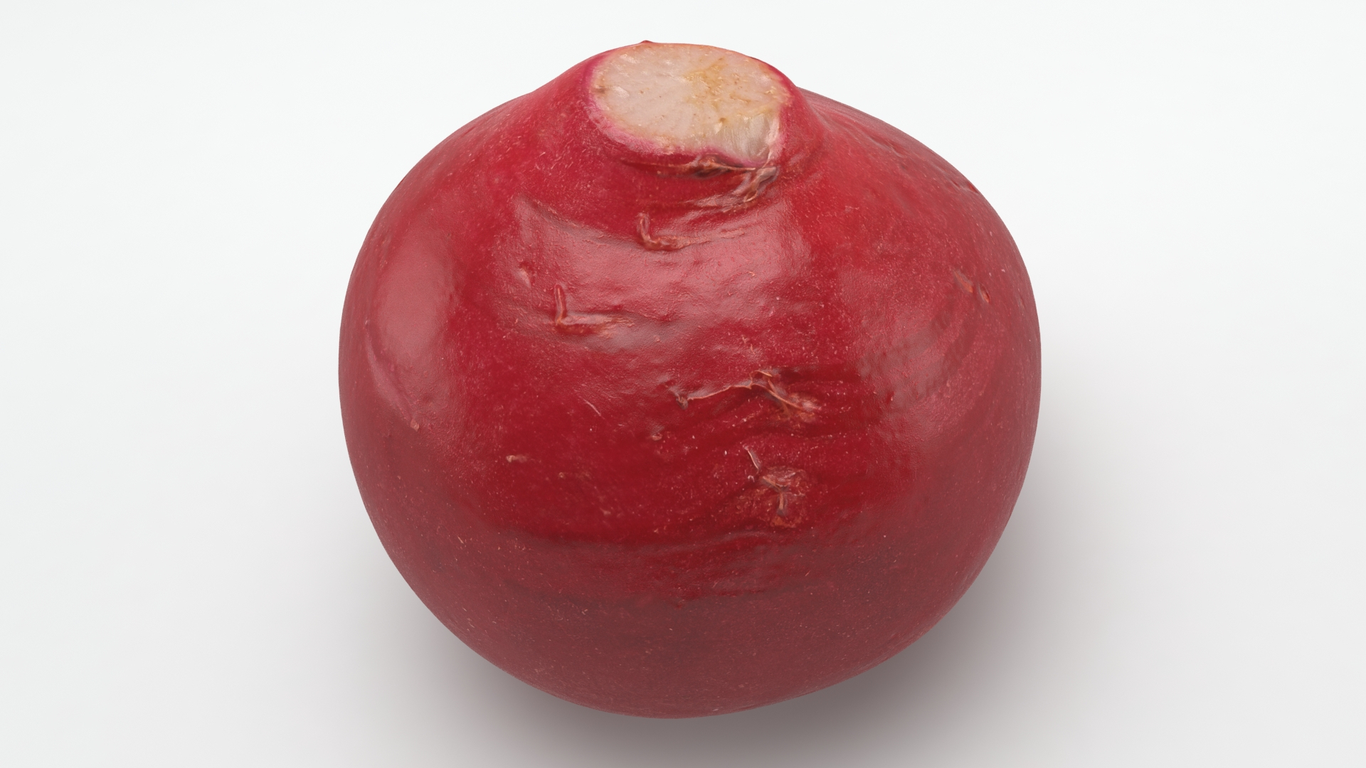 3D Baby Radish https://p.turbosquid.com/ts-thumb/c0/r24gIl/lU/babyradish/jpg/1622814882/1920x1080/turn_fit_q99/d72456868256820a6f3e92fb834d4547a1a0baf7/babyradish-1.jpg