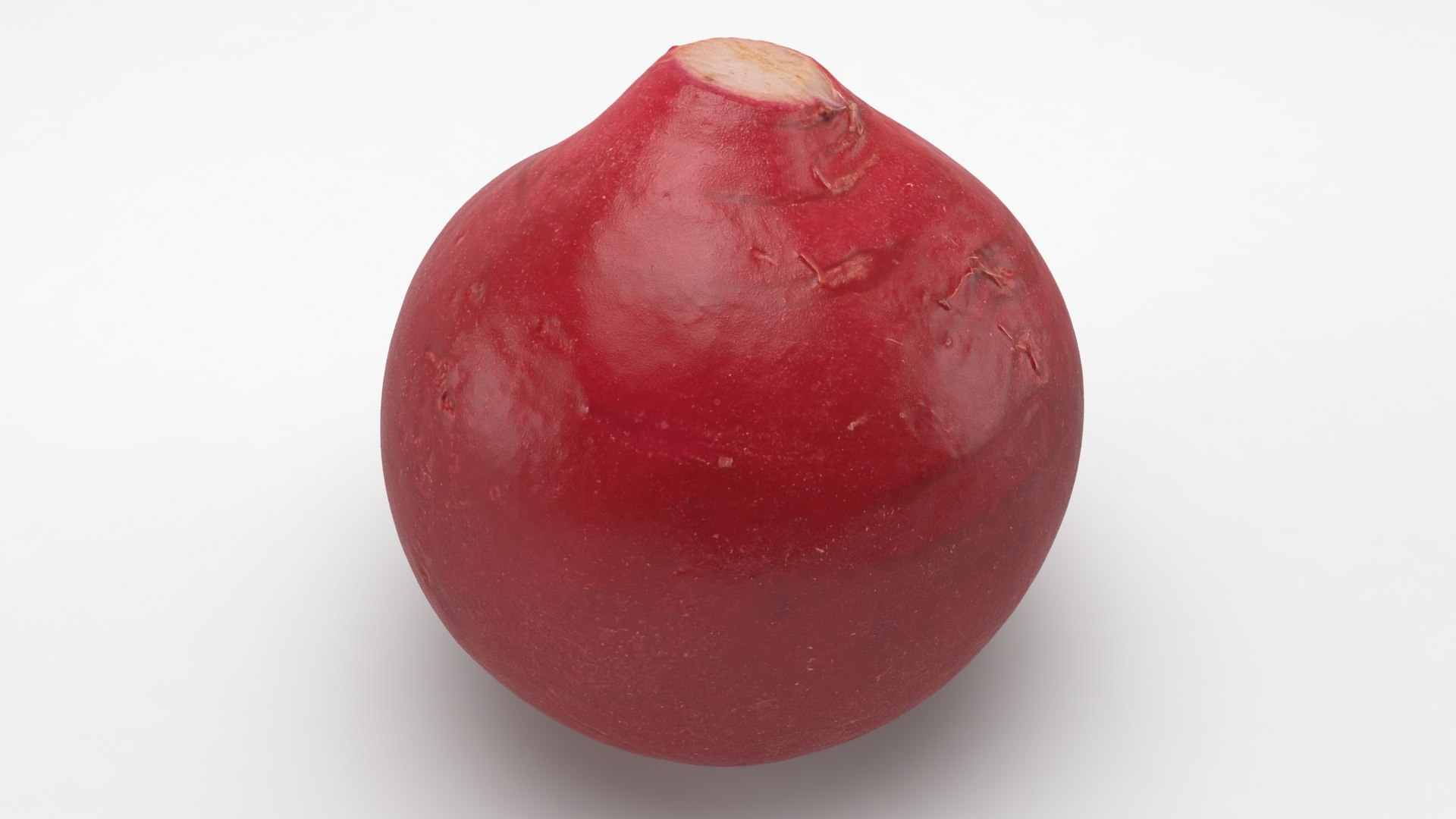 3D Baby Radish https://p.turbosquid.com/ts-thumb/c0/r24gIl/nP/babyradish_a0009/jpg/1622814903/1920x1080/fit_q87/14f3d44b60aa0cca7ed03ab2a045362fc7534587/babyradish_a0009.jpg