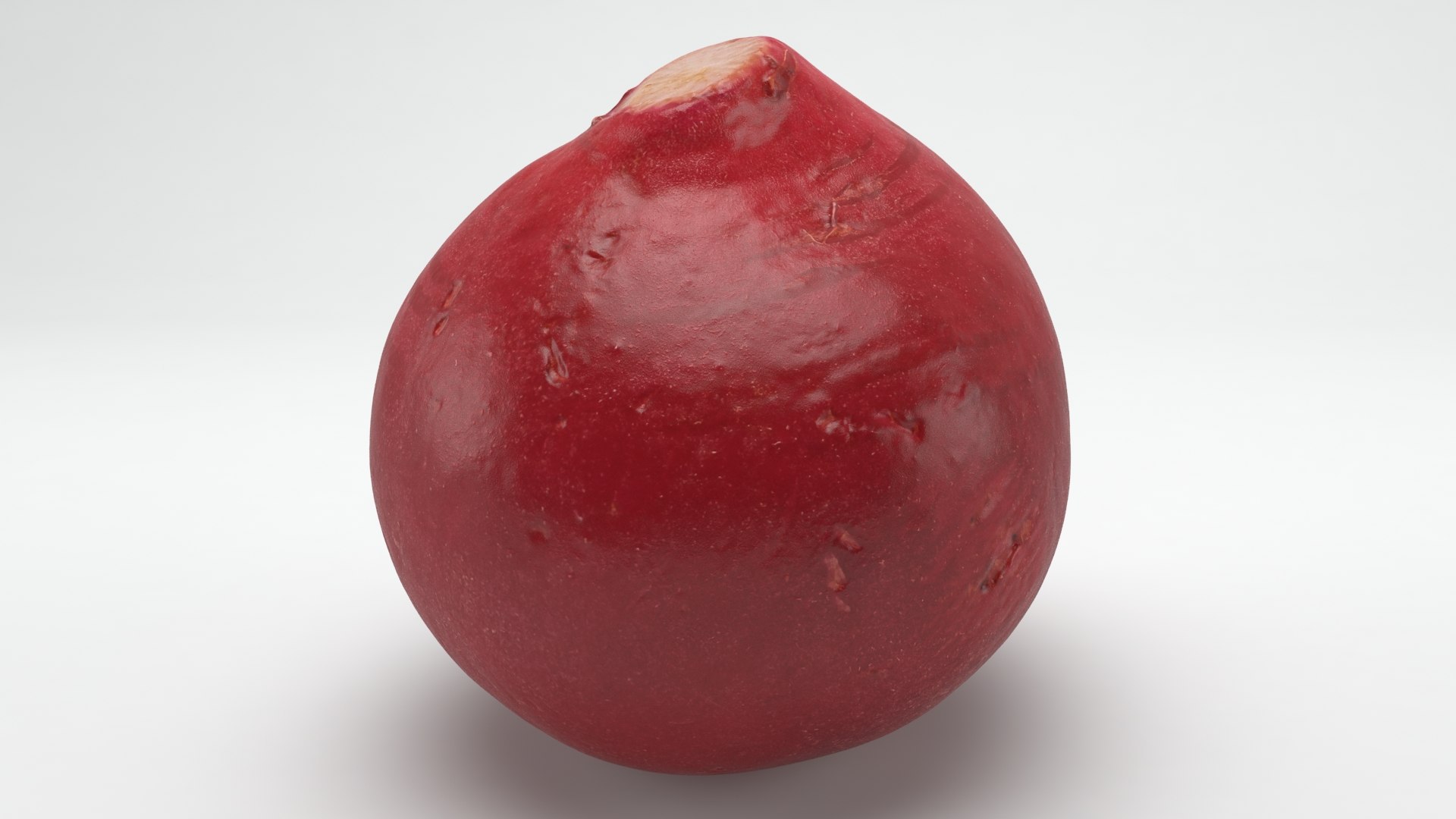 3D Baby Radish https://p.turbosquid.com/ts-thumb/c0/r24gIl/yf/babyradish_a0024/jpg/1622814912/1920x1080/fit_q87/e8568c4753f61b23094df92cfff299991b0e509a/babyradish_a0024.jpg