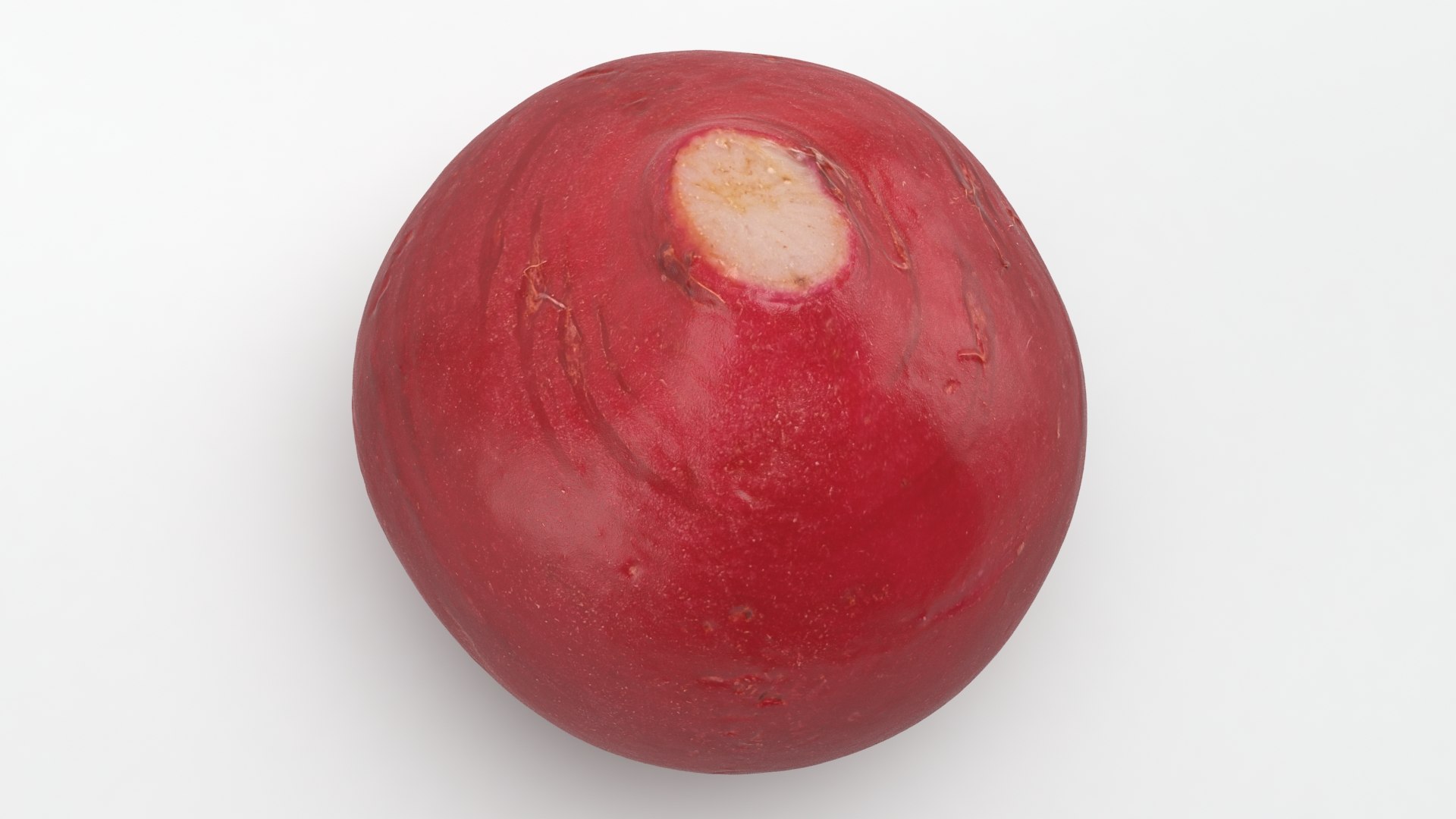 3D Baby Radish https://p.turbosquid.com/ts-thumb/c0/r24gIl/z9/babyradish_a0012/jpg/1622814912/1920x1080/fit_q87/71fec12a4f74bc5588f0ef65d3a2be69984f3e52/babyradish_a0012.jpg