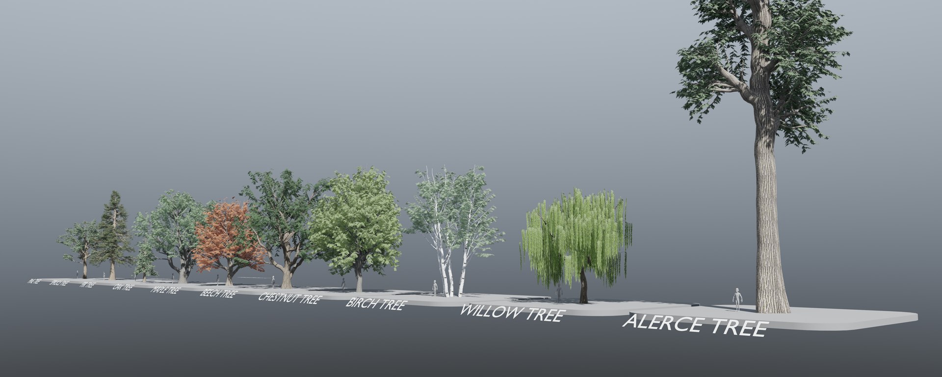 CB World Of Trees 3D Model - TurboSquid 2334839