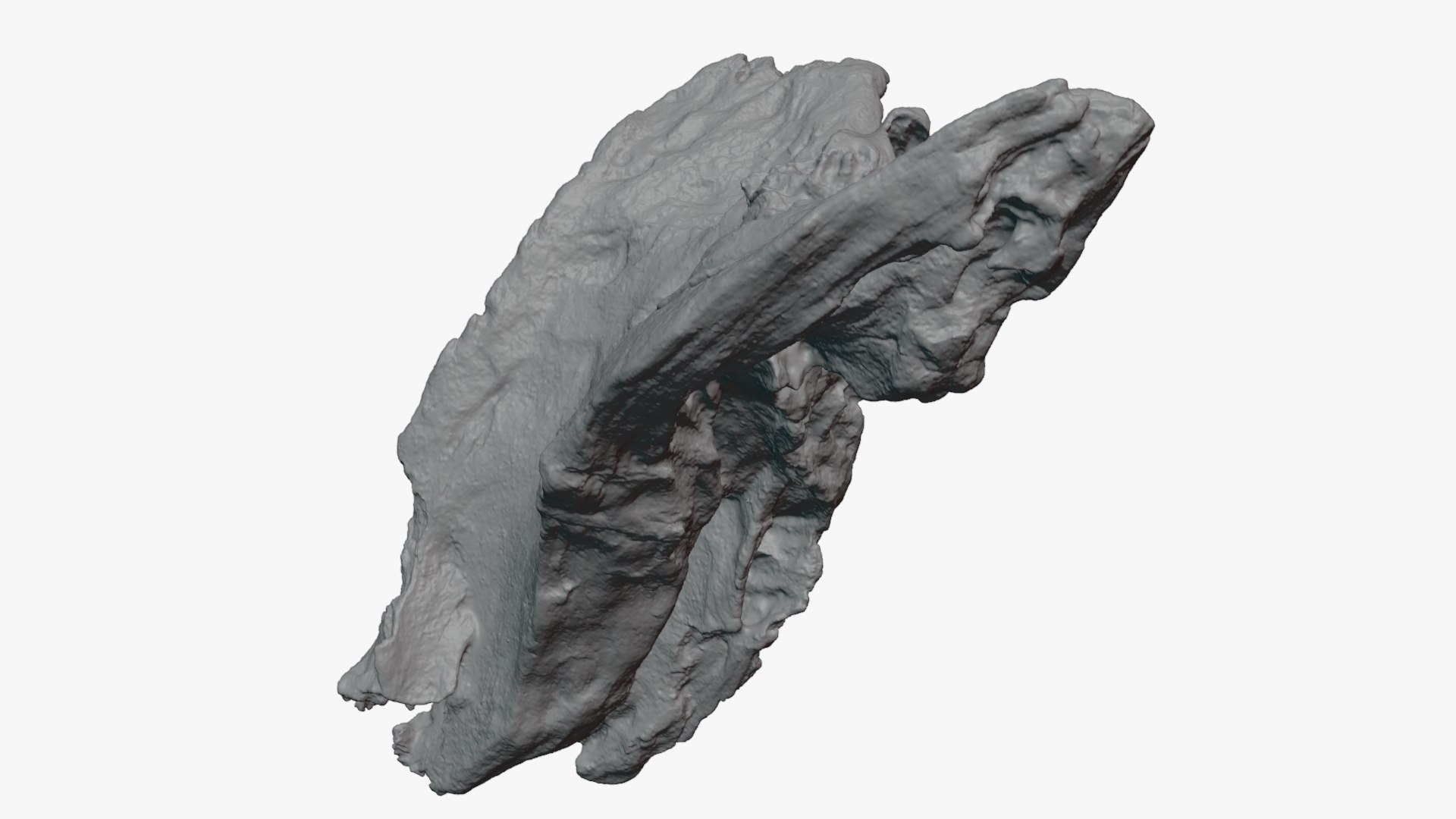 Tree Trunk Piece 04 - For 3D Print 3D model https://p.turbosquid.com/ts-thumb/c1/3uwCpr/2c/treetrunkpc04_0008/png/1761790274/1920x1080/fit_q87/67cae32ed6d6769c38ddba9a46f03dfe07e86677/treetrunkpc04_0008.jpg