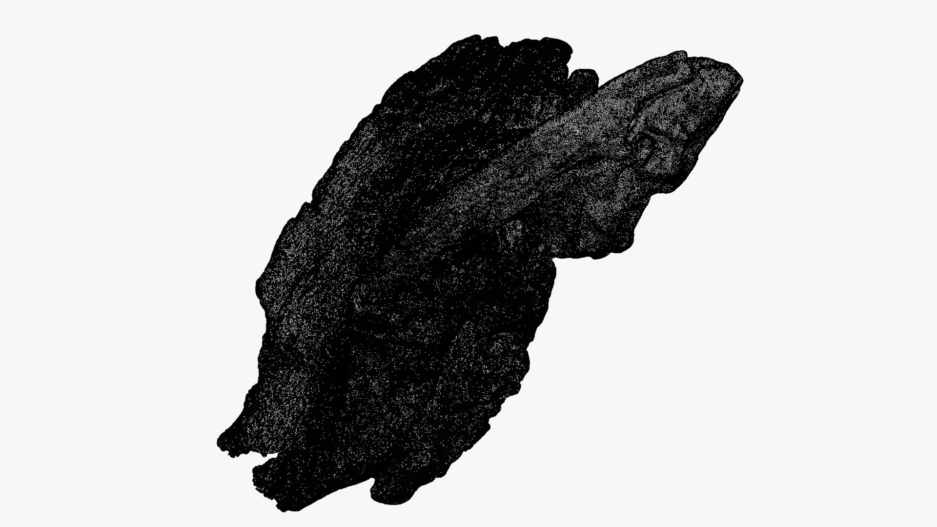 Tree Trunk Piece 04 - For 3D Print 3D model https://p.turbosquid.com/ts-thumb/c1/3uwCpr/PJ/treetrunkpc04_d0008/png/1761790281/1920x1080/fit_q87/87e92e47f186887ea15d9a01d73ec1d0326c3ef9/treetrunkpc04_d0008.jpg