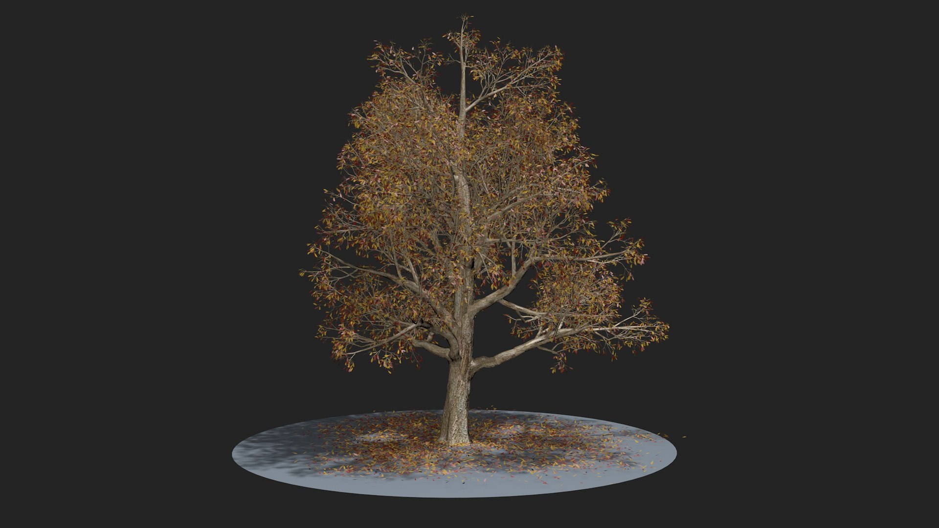 Autumn Tree 3D model - TurboSquid 1779437
