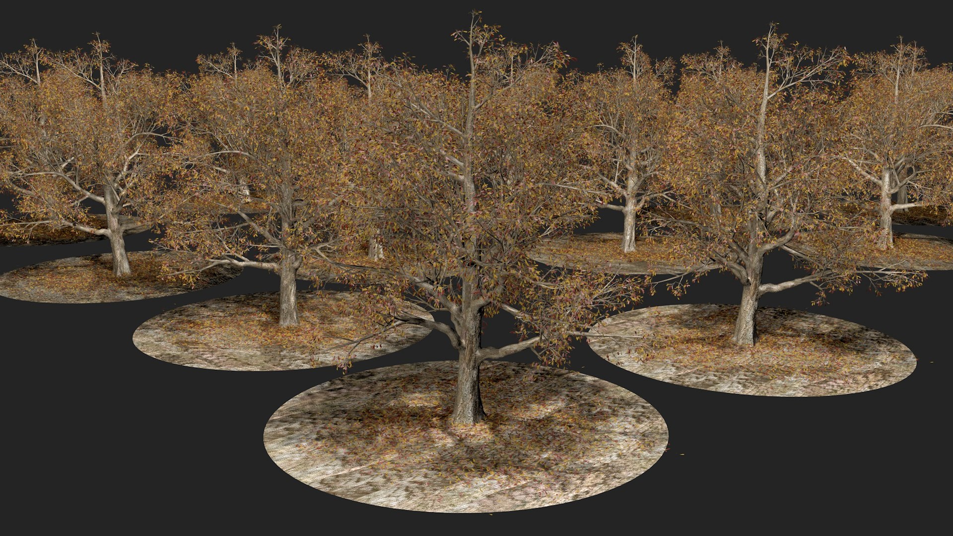Autumn Tree 3D model - TurboSquid 1779437