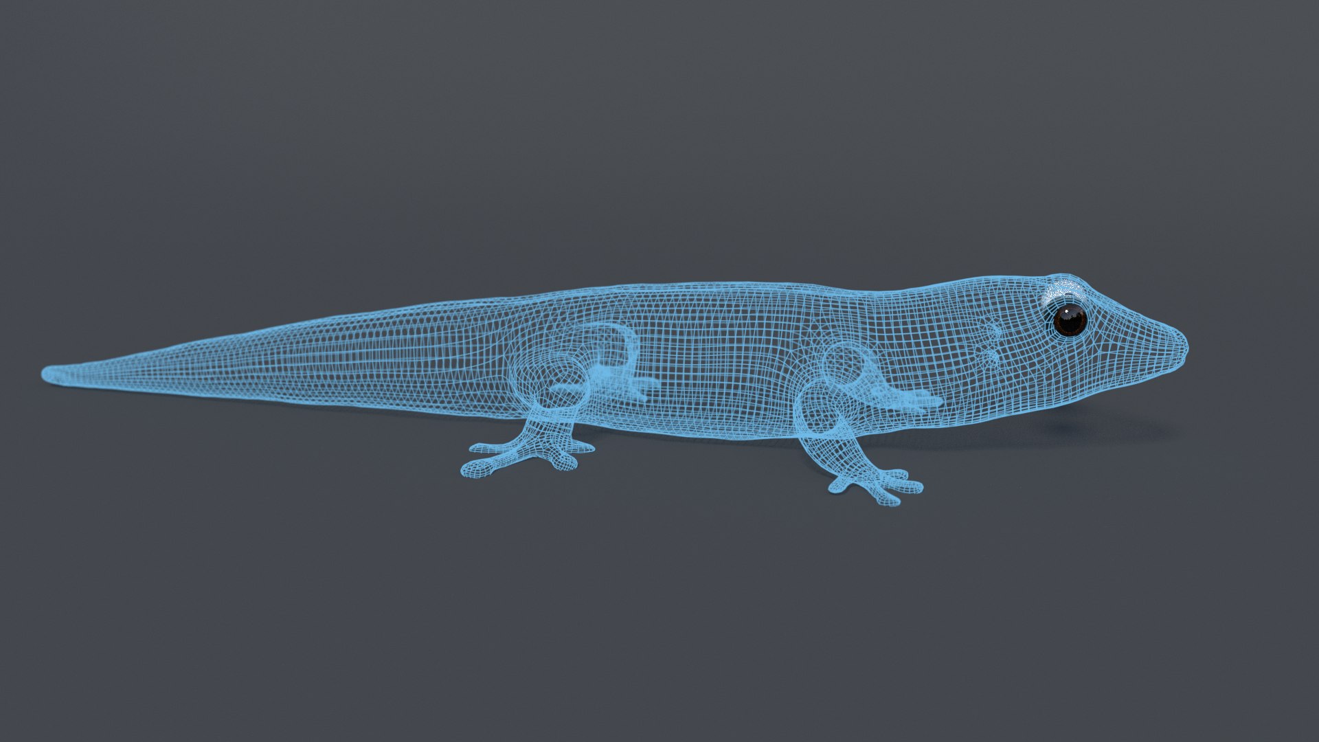 Gecko Rig Model - TurboSquid 1181653
