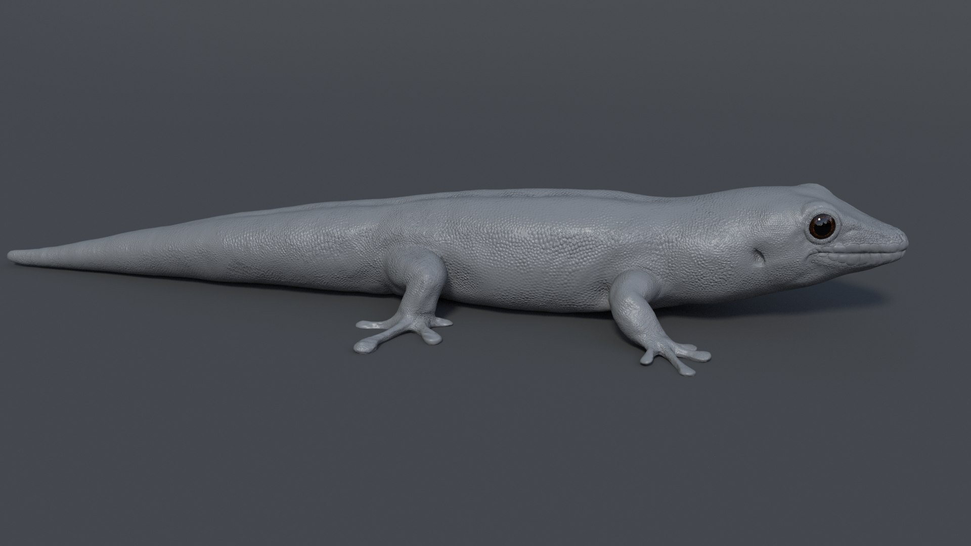 Gecko Rig Model - TurboSquid 1181653