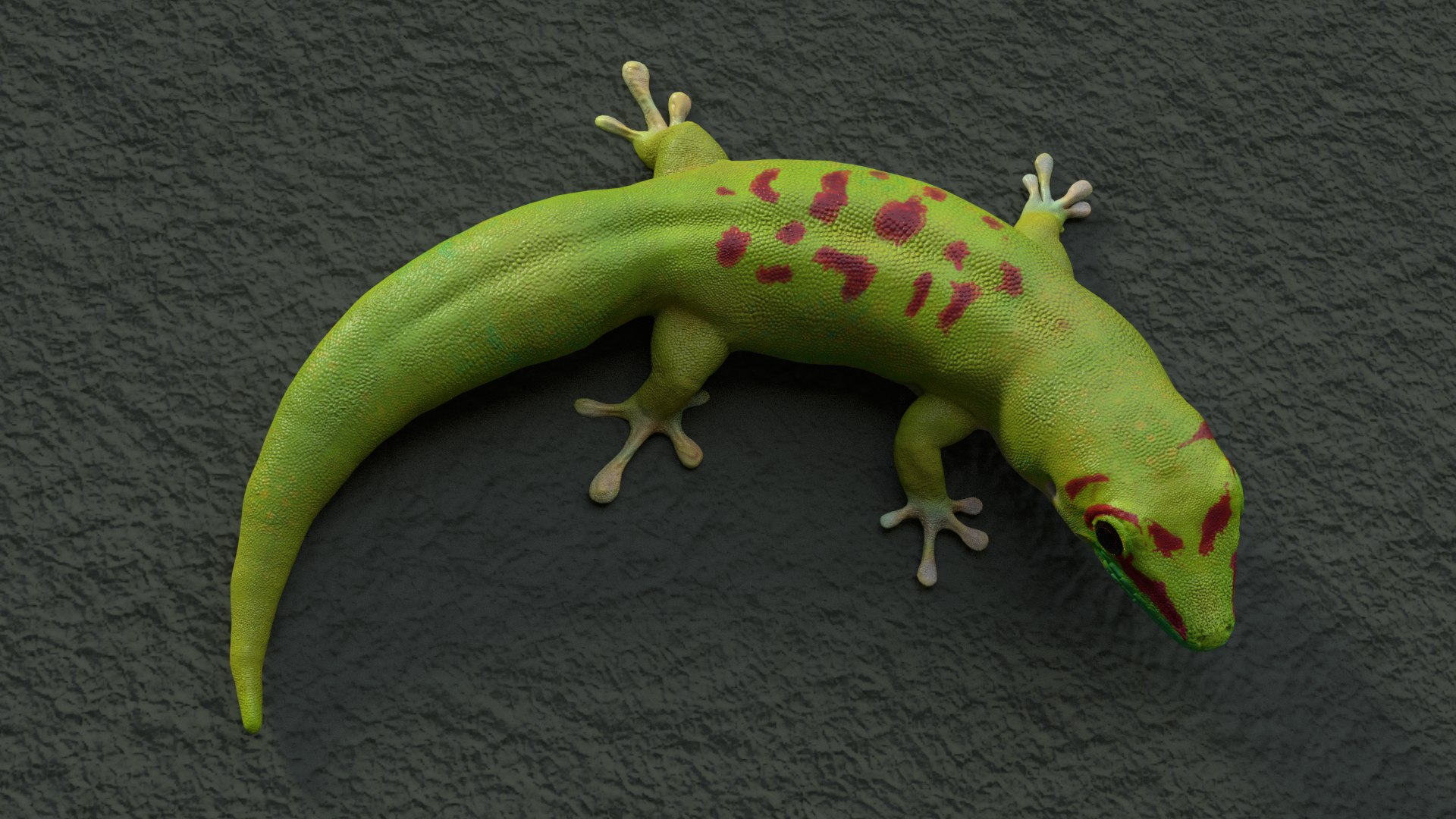 Gecko Rig Model - TurboSquid 1181653