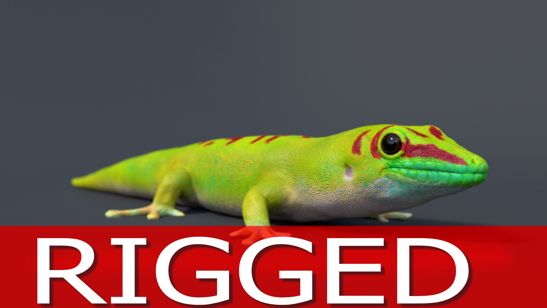 Gecko Rig Model - TurboSquid 1181653