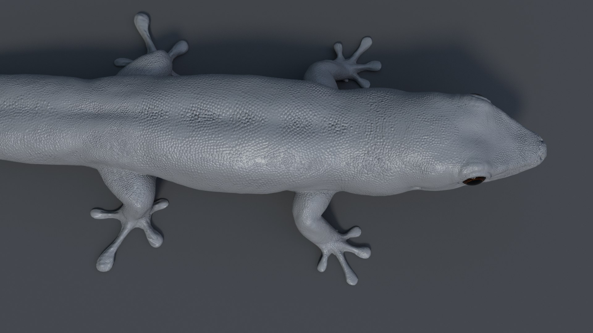 Gecko Rig Model - TurboSquid 1181653