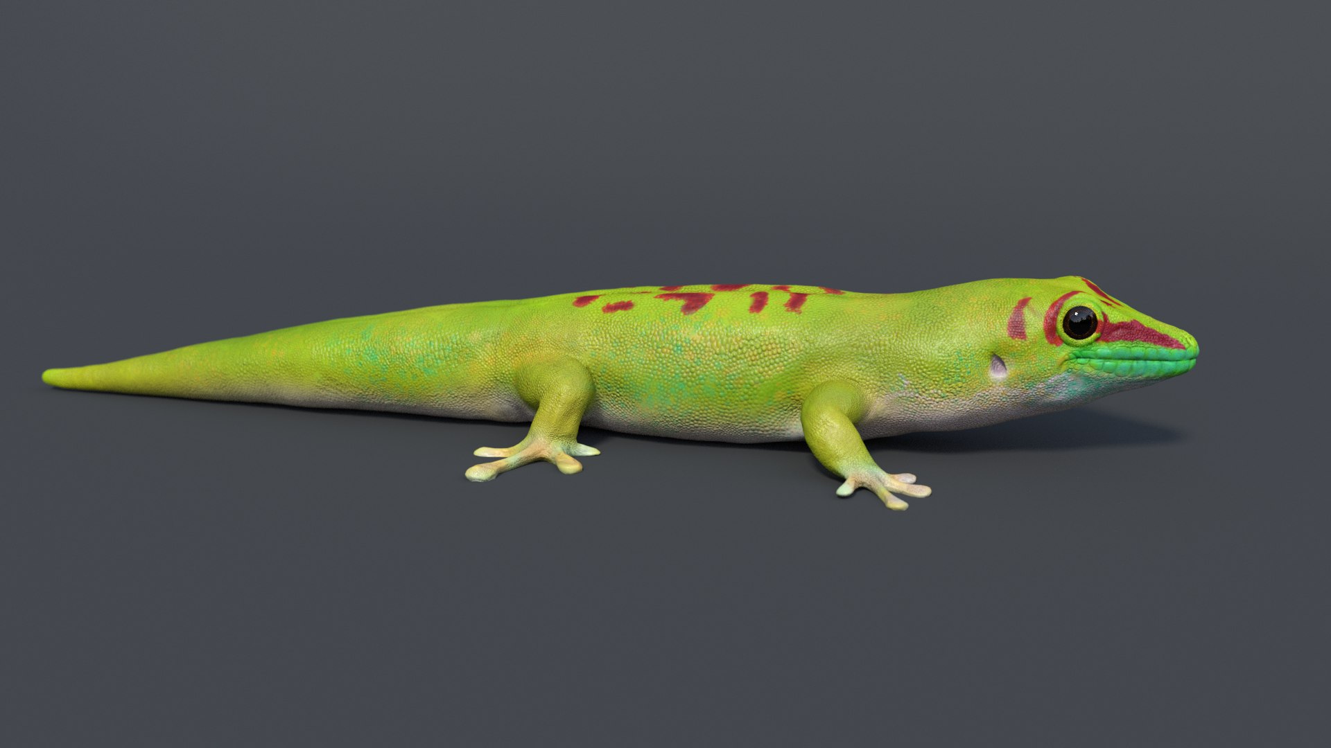 Gecko Rig Model - TurboSquid 1181653