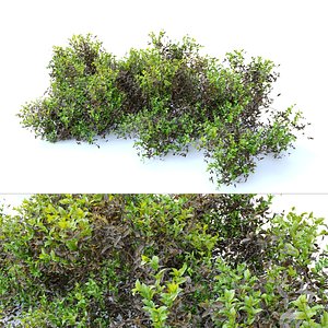 Dry and green leaves bush 3D