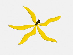 Banana peel