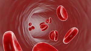 Blood cells